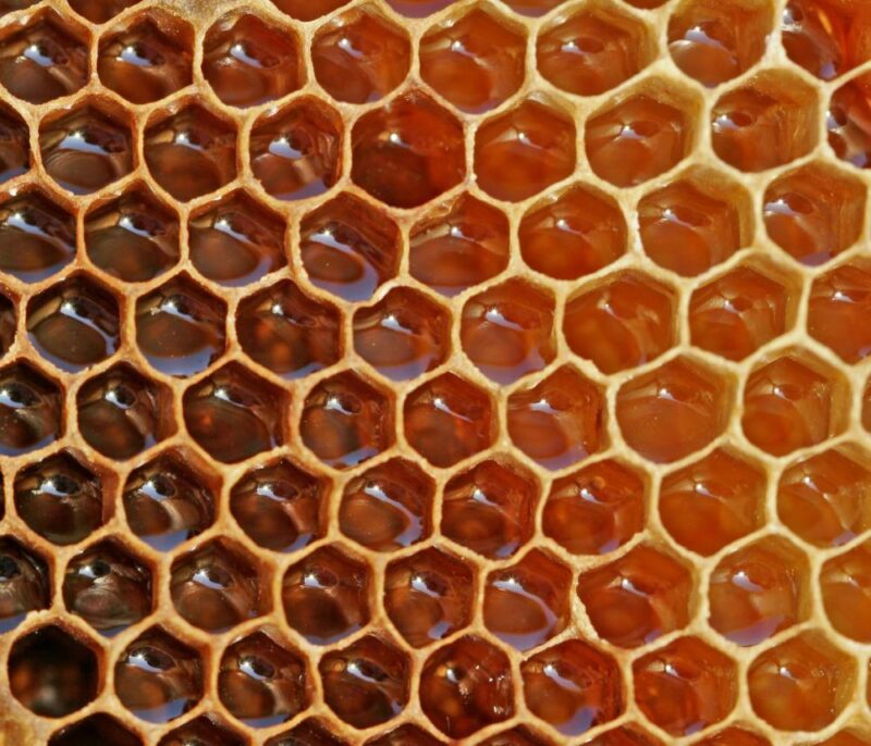 κελιά μέλι