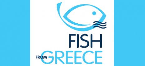 fish_from_greece_0