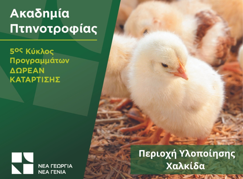 xr:d:DAFnsF68VVw:16,j:2979527441143214030,t:23071211