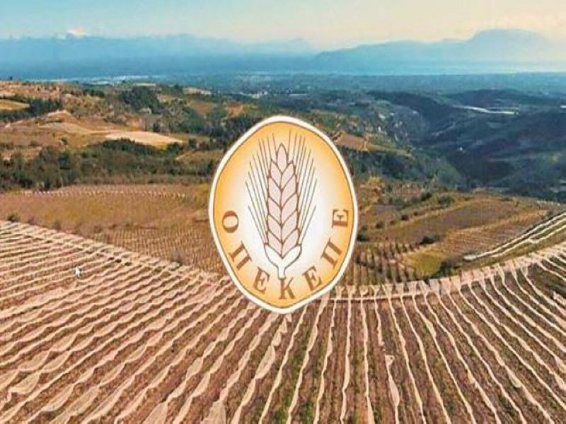 Αρχείο εικόνας WhatsApp 2023-10-12 στις 20.39.40_4b264d81