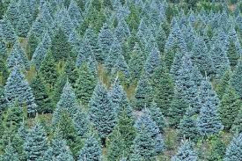 αρχείο λήψης