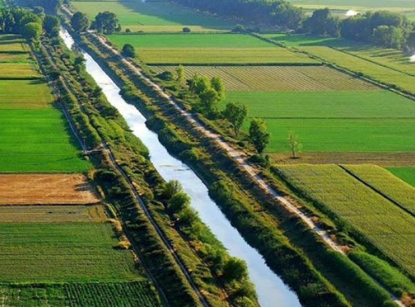 4512_1524727879_eggeiovelt