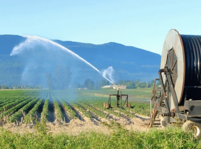 agrotiko-reuma
