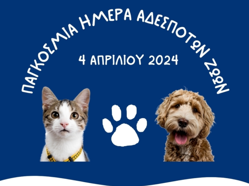 National Pet Day Dogs vs Cats Poll Instagram Post - 1