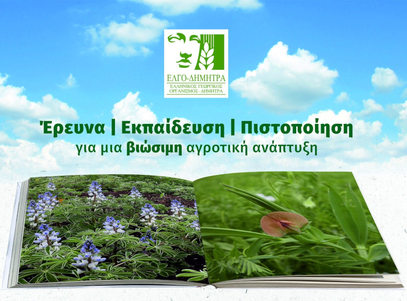 ελγο