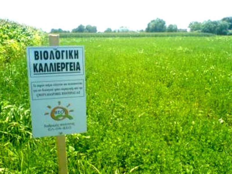 Βιολογική-καλλιέργεια1