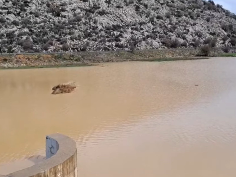 αποσελελ