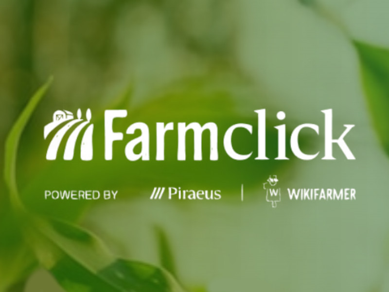 farfnf