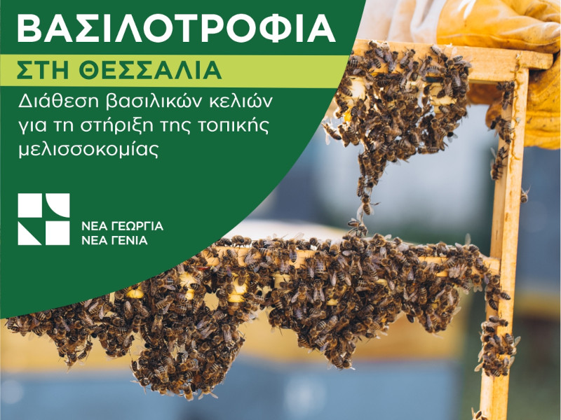 βασιλφο
