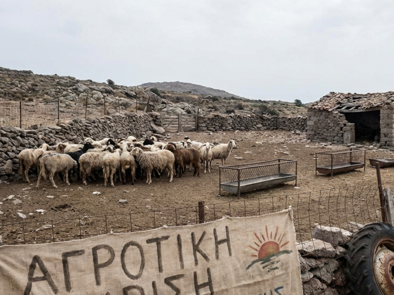 κριριριτ