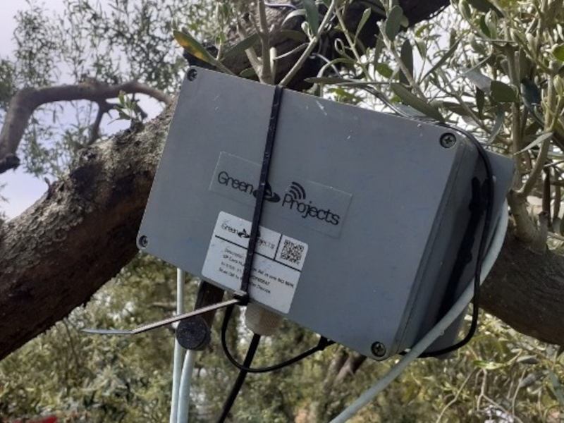 w11-10174020250506111753