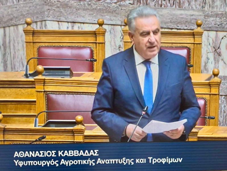 ΦΩΤΟ Βουλή 11-05-26