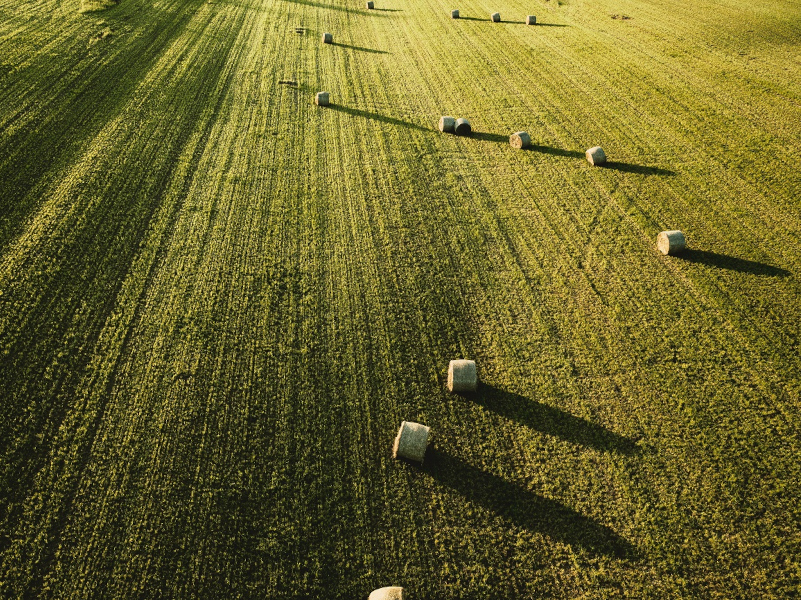 A large beautiful agricultural field with stacks of hay shot from above